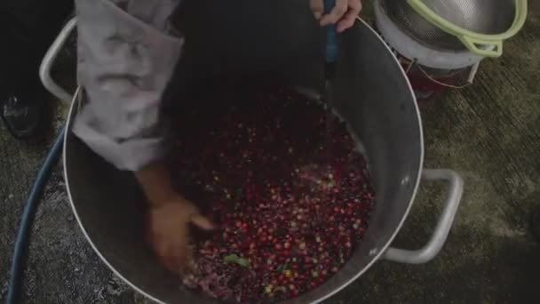 Red cherries coffee beans wet process. — Video