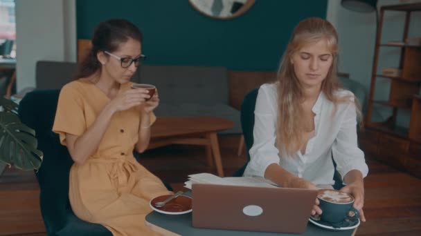 Dos chicas se encuentran en una cafetería. reunión de negocios de dos mujeres en una cafetería. — Vídeo de stock