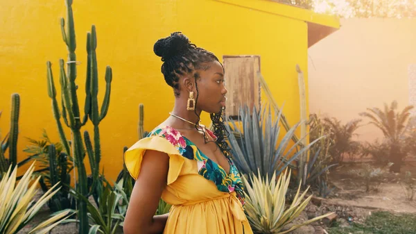 Retrato de uma bela mulher afro-americana com cactos por uma parede amarela no fundo. conceito de etno Imagem De Stock