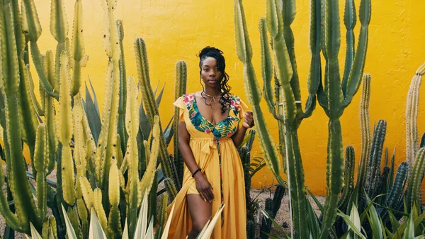노란 벽 옆에 선인장을 가진 아름다운 흑인 여성의 사진입니다. 도덕 개념 스톡 이미지