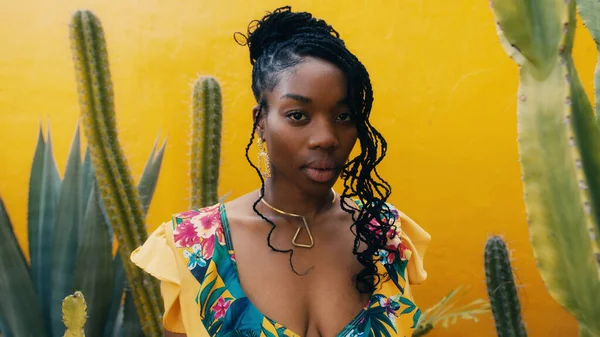 Portrait of a beautiful African-American woman with cactuses by a yellow wall in the background. ethno concept Stock Picture