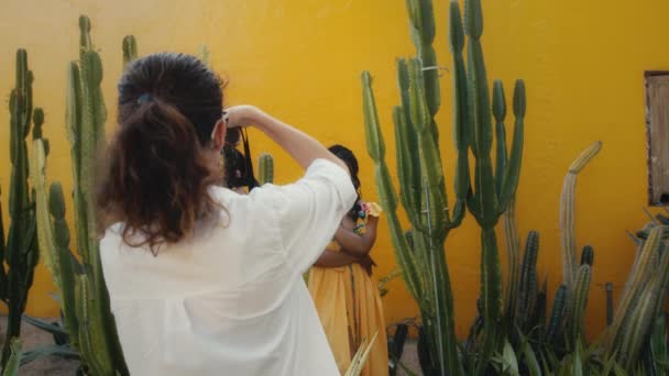 Una hermosa modelo negra posa para un fotógrafo. Sesión de fotos de moda con estilo en un jardín de cactus — Vídeos de Stock