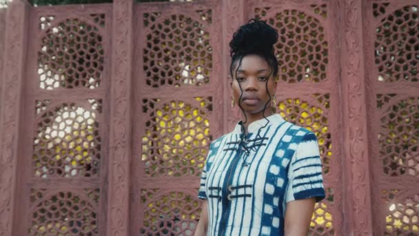 Stilvolle afrikanisch-amerikanische Dame blickt im Freien in die Kamera und fühlt sich selbstbewusst — Stockvideo