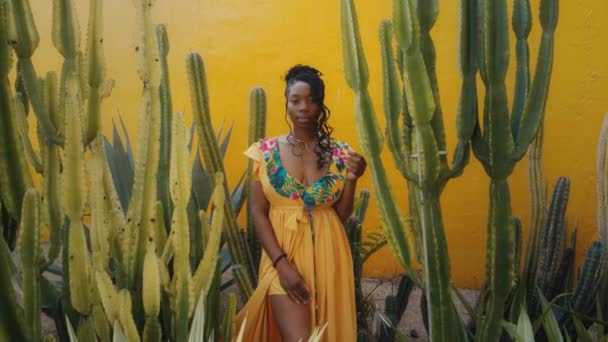 Retrato de una joven guapa afroamericana con trenzas afro en un vestido amarillo — Vídeos de Stock