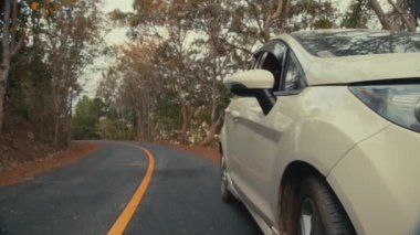 Yolda Araba Sorunları Olan Kadın