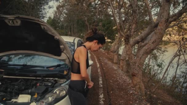 रस्त्यावर कार समस्या असलेली स्त्री — स्टॉक व्हिडिओ