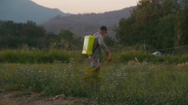 Tailandia, 11 de febrero de 2022: El agricultor asiático trata los cultivos en el campo con productos químicos, Chiang Mai, Tailandia. — Vídeos de Stock