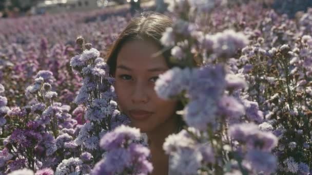 Jeune femme asiatique dans le champ de fleurs sur coucher de soleil regarder la caméra — Video