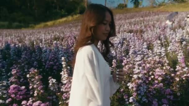 Joven mujer asiática en el campo de flores en la puesta del sol mira a la cámara — Vídeos de Stock