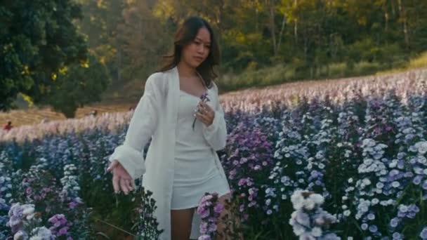 Joven mujer asiática en el campo de flores en la puesta del sol mira a la cámara — Vídeos de Stock