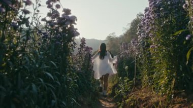 Genç Asyalı kadın günbatımında çiçek tarlasında koşar.