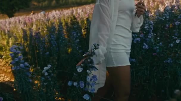 해질 때 꽃 밭에서 걷고 꽃에 손을 대는 아시아 소녀 — 비디오