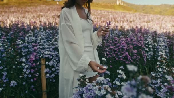 Mujer asiática joven caminando y tocando flores en un campo de flores al atardecer — Vídeos de Stock