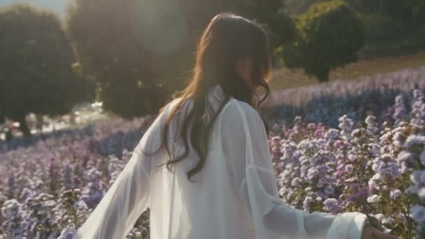 Jovem mulher asiática andando e tocando flores em um campo de flores ao pôr do sol — Vídeo de Stock