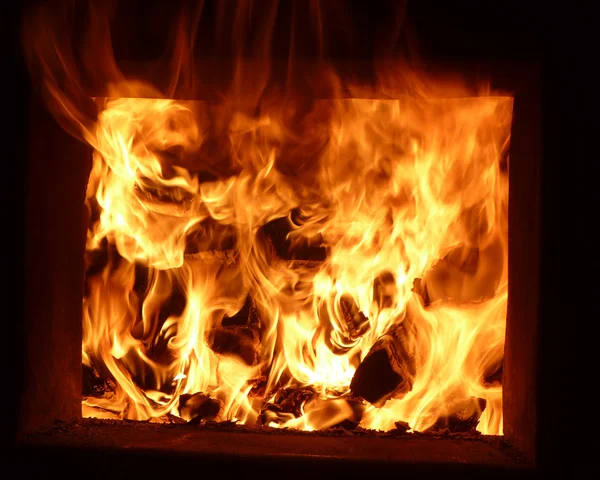 firebox içinde odun blaze