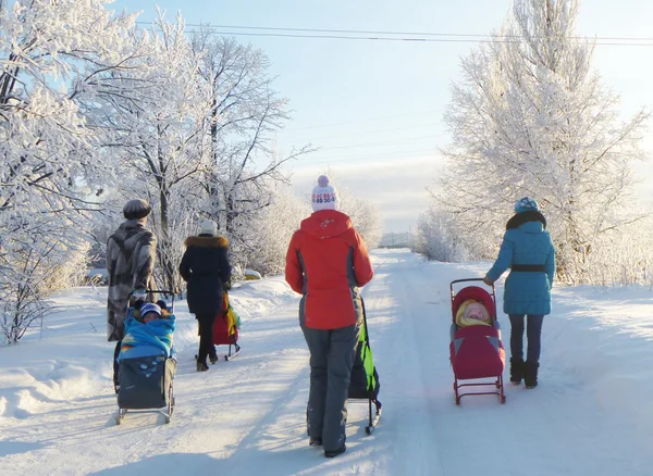 Vinterpromenad på släde — Stockfoto