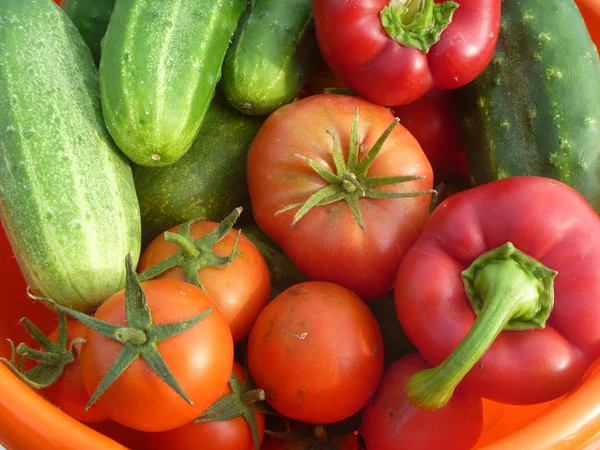 Background from tomato, cucumber, pepper — стоковое фото