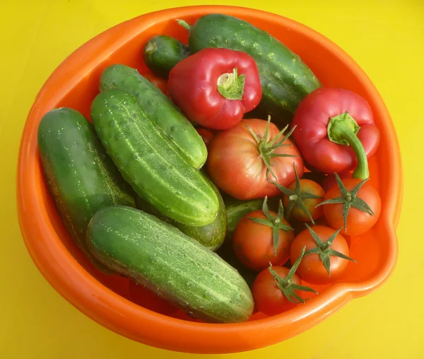 Background from tomato, cucumber, pepper — стоковое фото