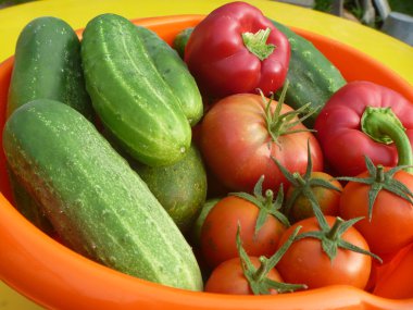 arka plan salatalık, domates, biber