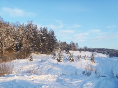 Güzel kış manzarası
