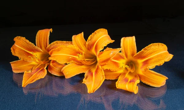 橘红色的百合花在桌上倒映着 黑色背景上的美丽花朵 — 图库照片