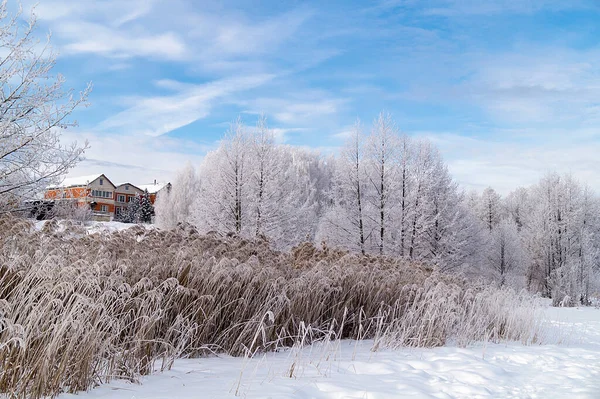 Landskapet Vintern Lång Tid Bakgrunden Blå Himmel Med Moln Den — Stockfoto