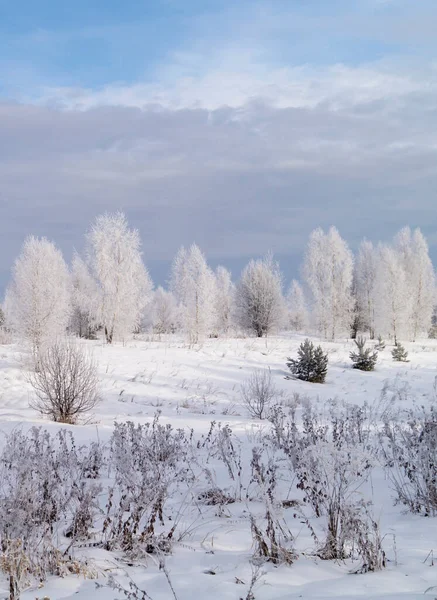 Landskapet Vintern Lång Tid Bakgrunden Blå Himmel Med Moln Den — Stockfoto