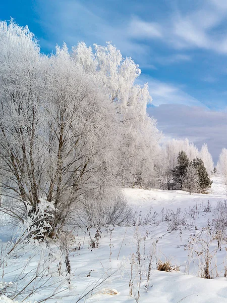 Landskapet Vintern Lång Tid Bakgrunden Blå Himmel Med Moln Den — Stockfoto