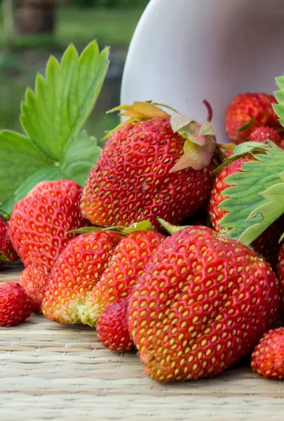 Hintergrund Der Roten Erdbeeren Reife Beeren Frühling Auf Dem Tisch — Stockfoto