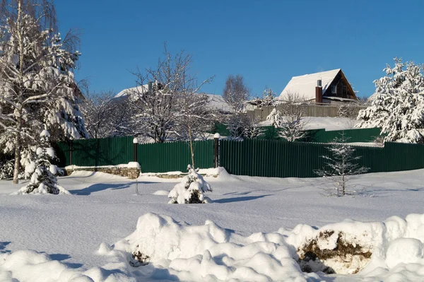 Zimní Krajina Borovicí Venkově Krása Přírodě Proti Modré Obloze — Stock fotografie