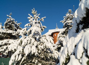 Kışın çam ormanında bir kır evi. Mavi gökyüzüne karşı güzel manzara