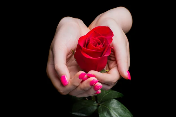 Hands of girl carefully holding red rose on black — Stock Photo, Image