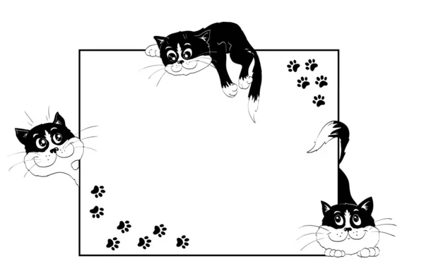 neşeli yavru kedi ile çerçeve
