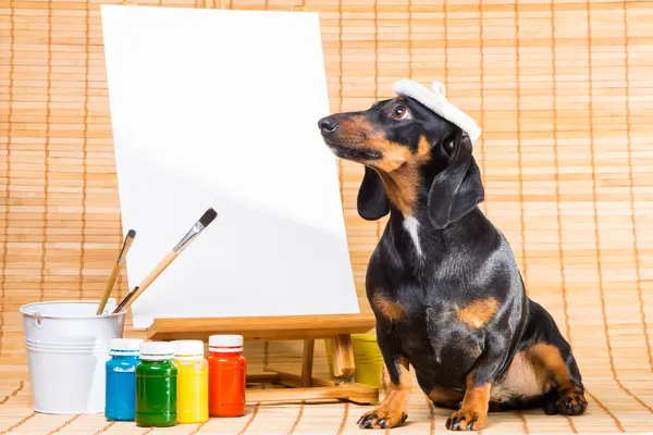 Dachshund em chapéu de artista perto cavalete com tela limpa — Fotografia de Stock