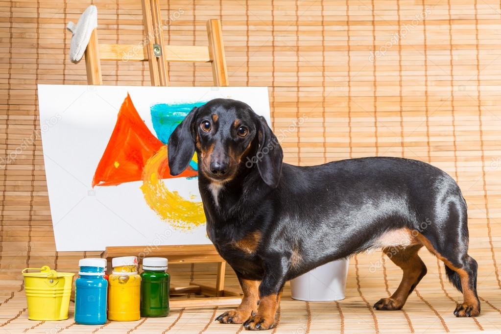 dachshund artist near easel with its masterpiece