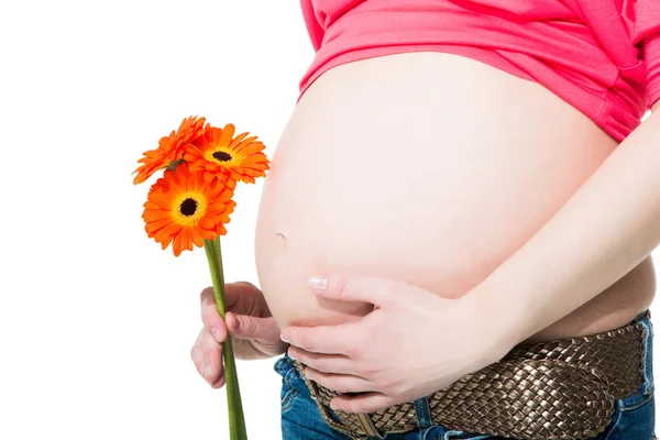 Mulher grávida segurando flor em branco isolado — Fotografia de Stock