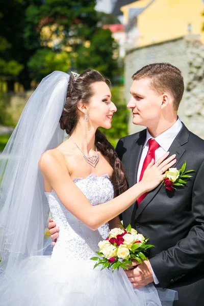 Schöne Braut mit Bräutigam — Stockfoto
