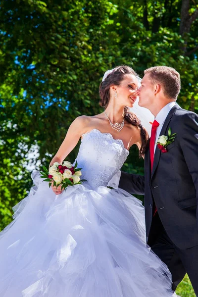 Beautiful bride with groom — Stock Photo, Image