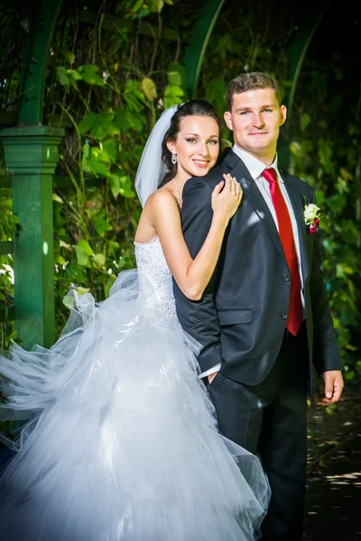 Bella sposa con sposo — Foto Stock