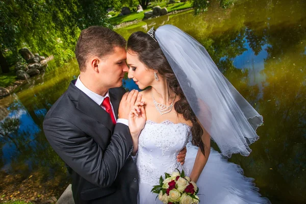 Красивая невеста с женихом — стоковое фото