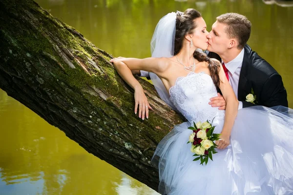 Красивая невеста с женихом — стоковое фото