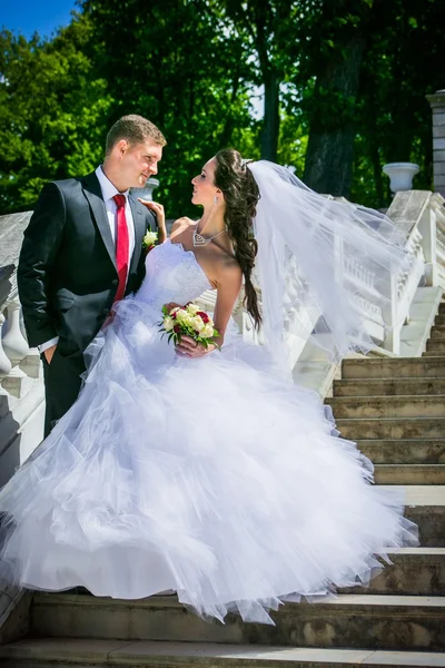 Bella sposa con sposo — Foto Stock