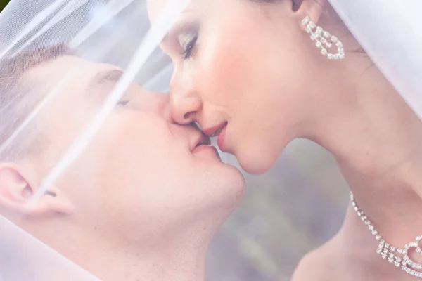 Bella sposa con sposo — Foto Stock