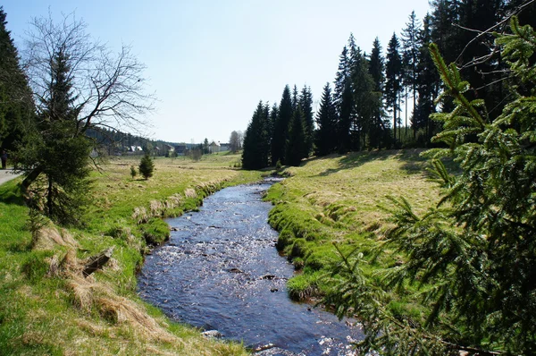 erzgebirge, Almanya'da yürüyüş