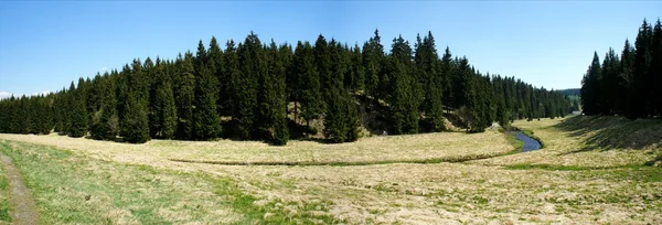 A völgy a fekete, a környéken Erzgebirge-ben: Pockau — Stock Fotó