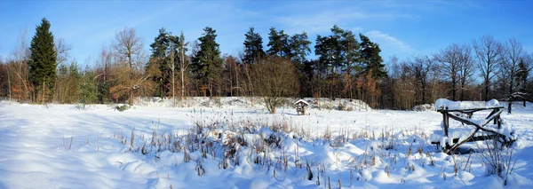 Panorama im Winter — Stockfoto