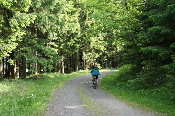 Med cykeln genom skogen — Stockfoto