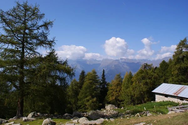 Paesaggio in Alto Adige — Foto Stock