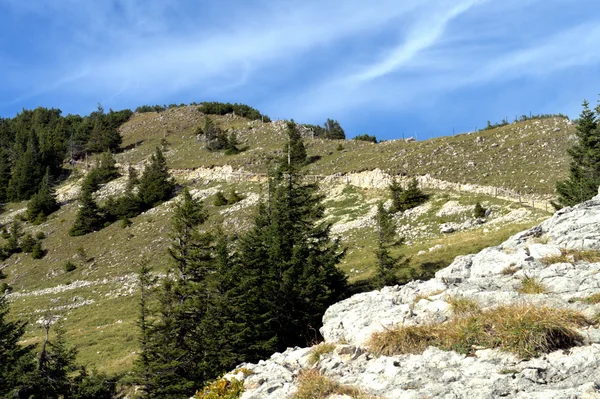 The way to the summit — Stock Photo, Image