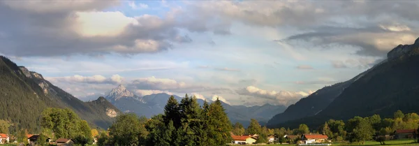 allgaeu Alpler'in Bavyera